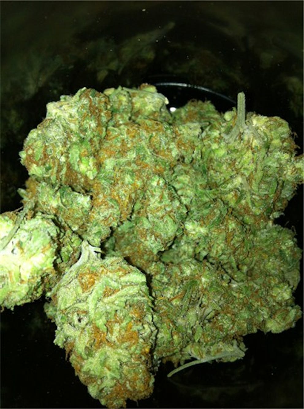 Photos of Ice Cream Weed Strain Buds Leafly