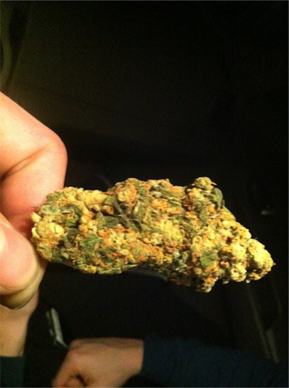 Photos of Ice Cream Weed Strain Buds Leafly