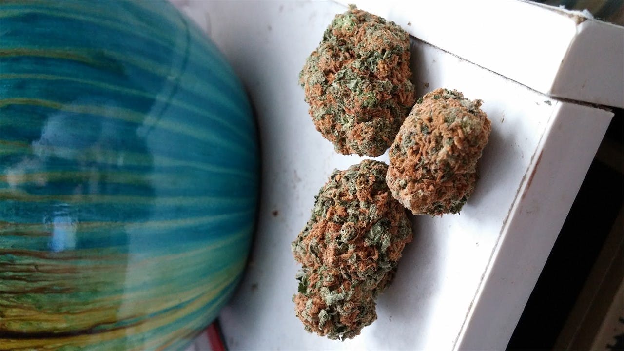 Ice Cream aka Ice Cream Kush, Ice Cream 1, Ice Cream 3 Weed Strain