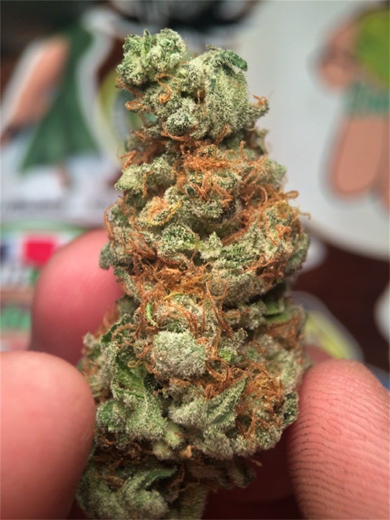 Photos of Ice Cream Weed Strain Buds Leafly