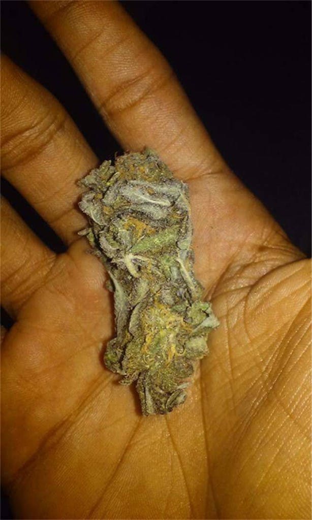 Ice Cream aka Ice Cream Kush, Ice Cream 1, Ice Cream 3 Weed Strain