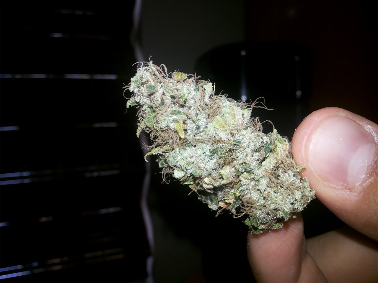 Photos of Ice Cream Weed Strain Buds Leafly