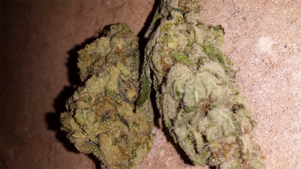 Photos of Ice Cream Weed Strain Buds Leafly