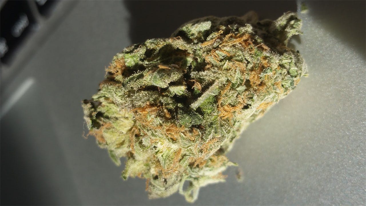 Ice Cream aka Ice Cream Kush, Ice Cream 1, Ice Cream 3 Weed Strain Information Leafly