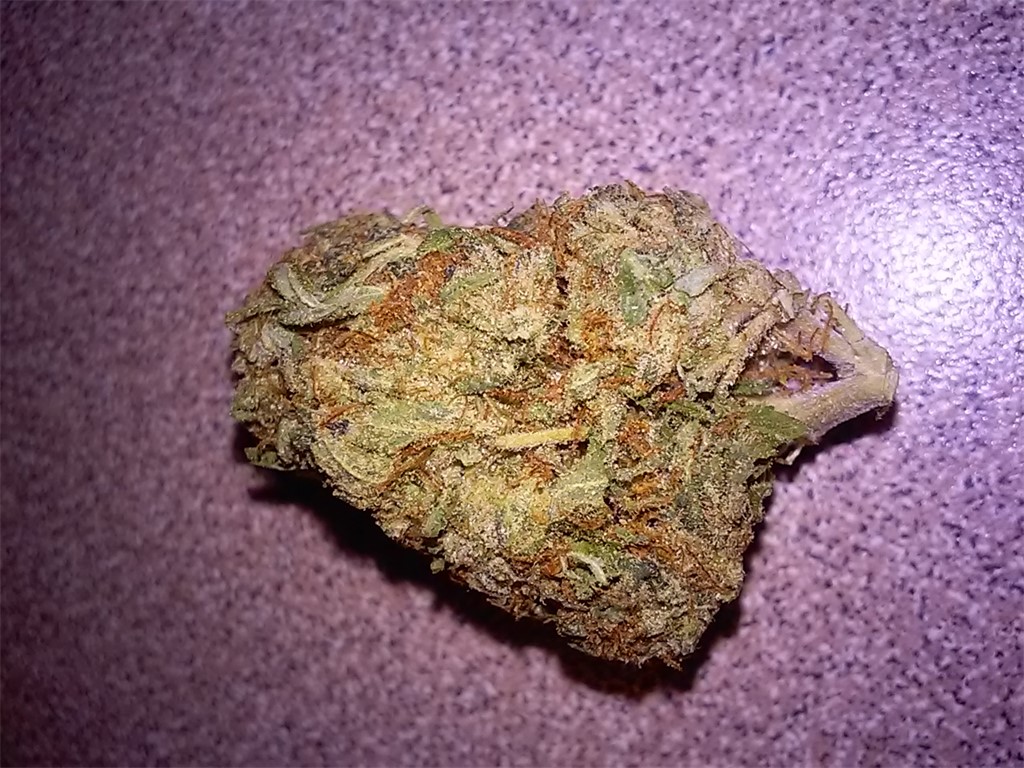 iscream strain iscream strain