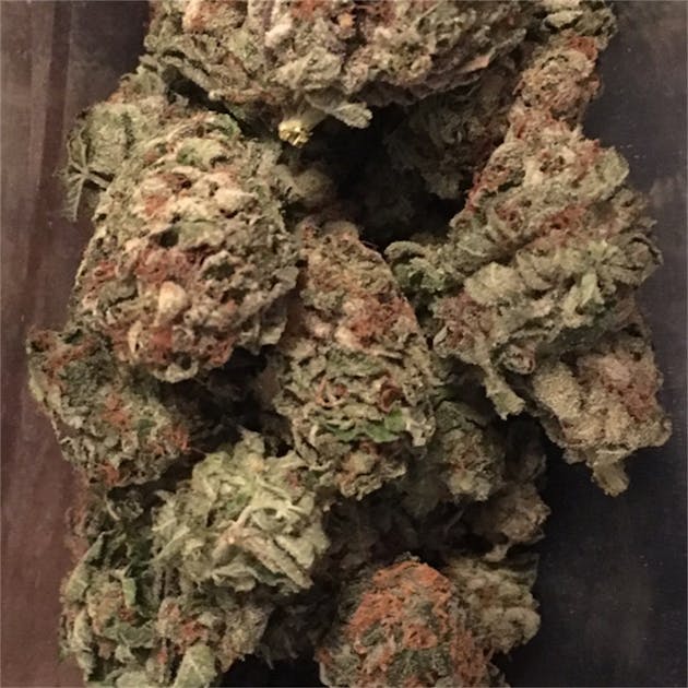 Photos of Ice Cream Weed Strain Buds Leafly
