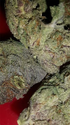 User uploaded image of Ice Cream