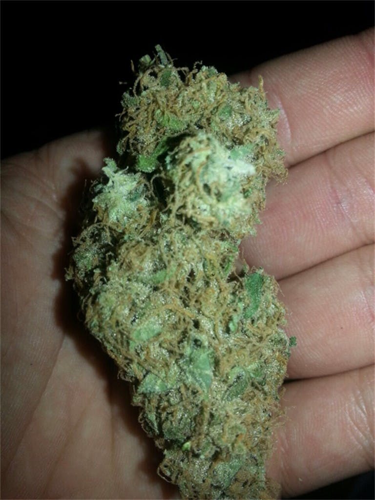 Photos of Ice Cream Weed Strain Buds Leafly