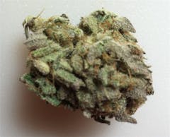 User uploaded image of Ice Queen