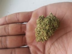 User uploaded image of Ice Queen