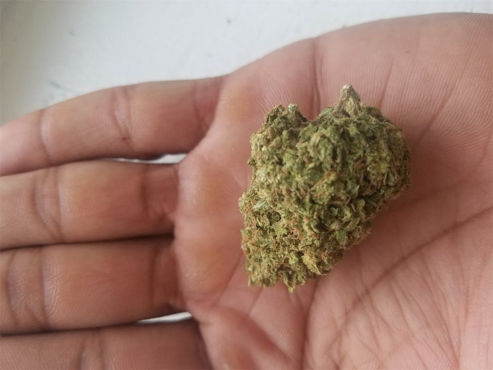 Photos of Ice Queen Weed Strain Buds Leafly