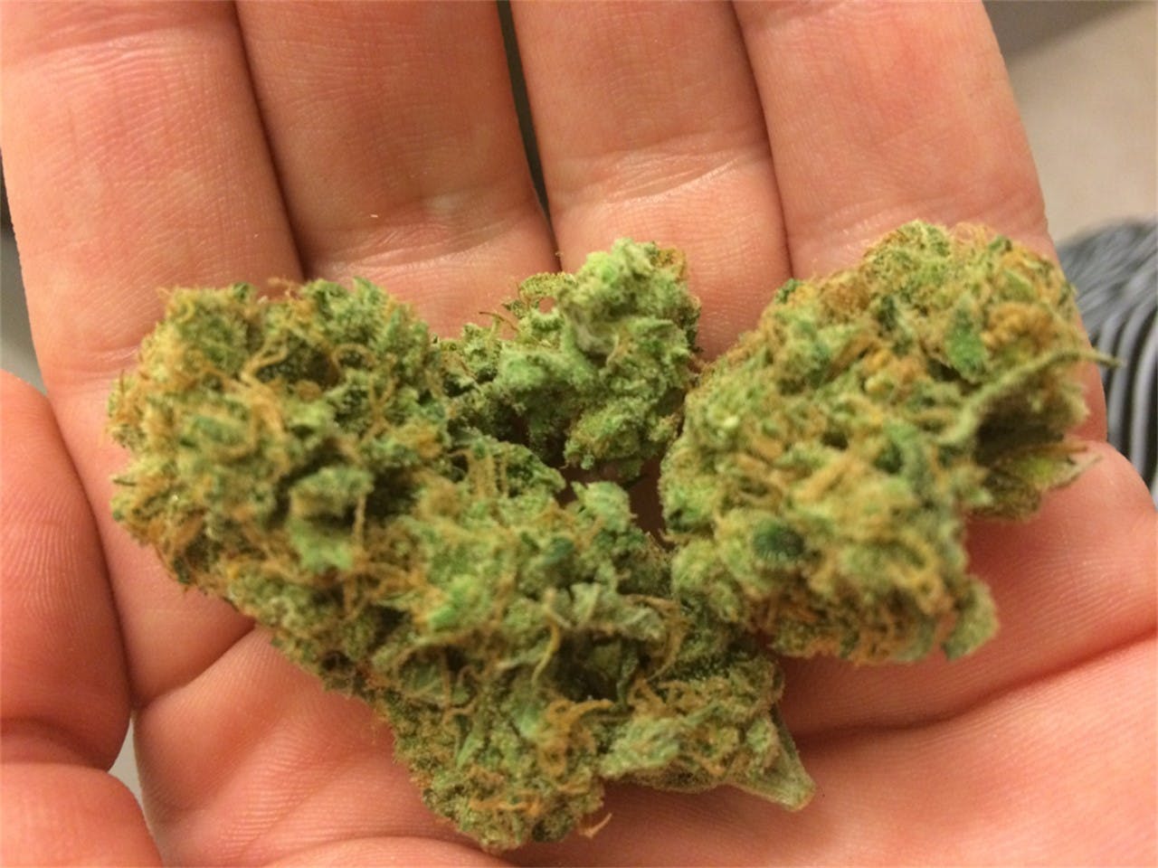 Ice Queen Weed Strain Information Leafly