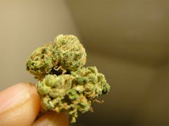 User uploaded image of Ice Wreck