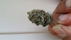 User uploaded image of Ice Wreck