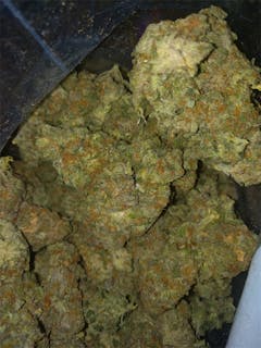 User uploaded image of Ice Wreck