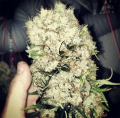 User uploaded image of Ice