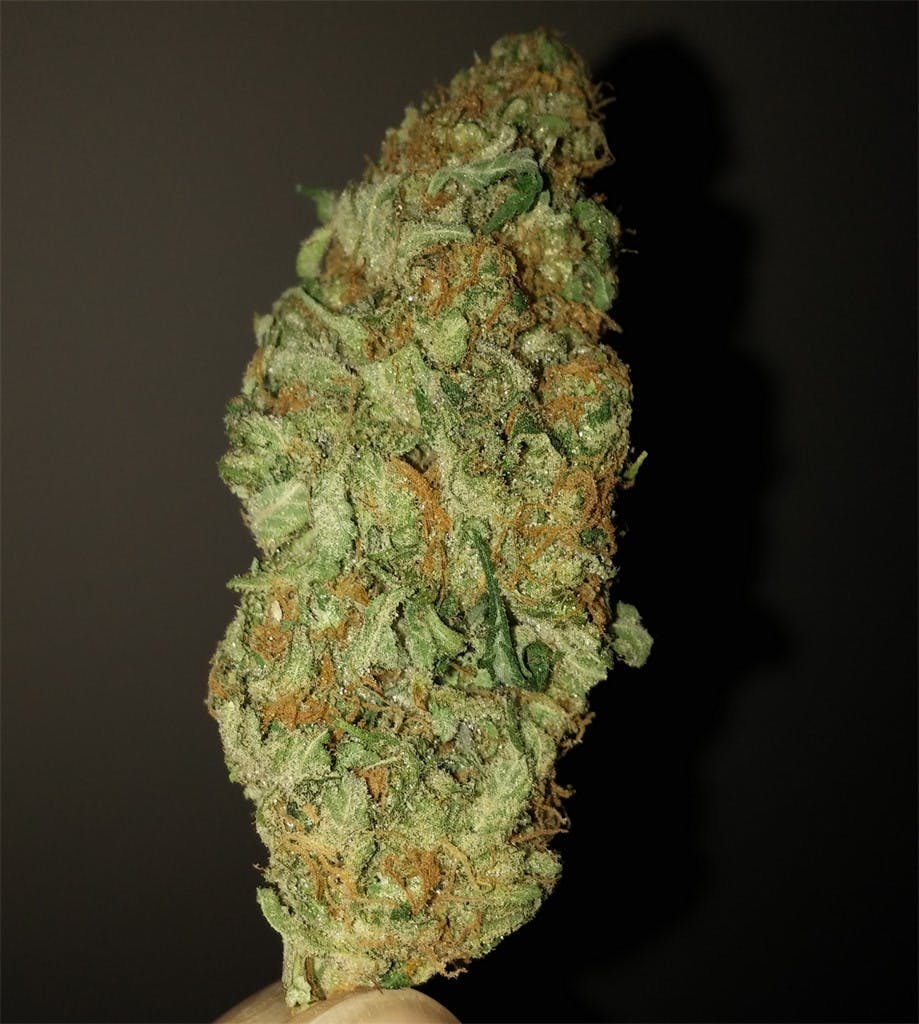 Photos of Ice Weed Strain Buds Leafly