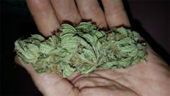 User uploaded image of ICED Grapefruit