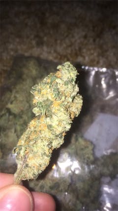 User uploaded image of Iced Widow