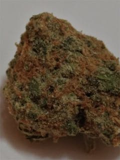 User uploaded image of Iced Widow