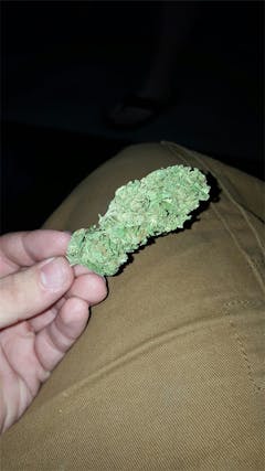 User uploaded image of In The Pines