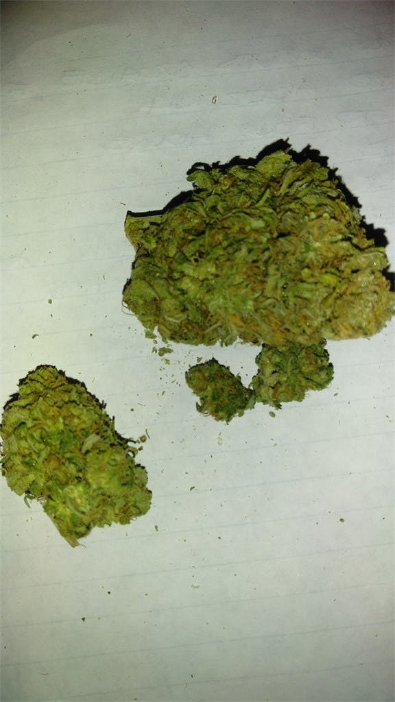 In The Pines Weed Strain Information Leafly