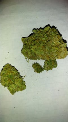 User uploaded image of In The Pines