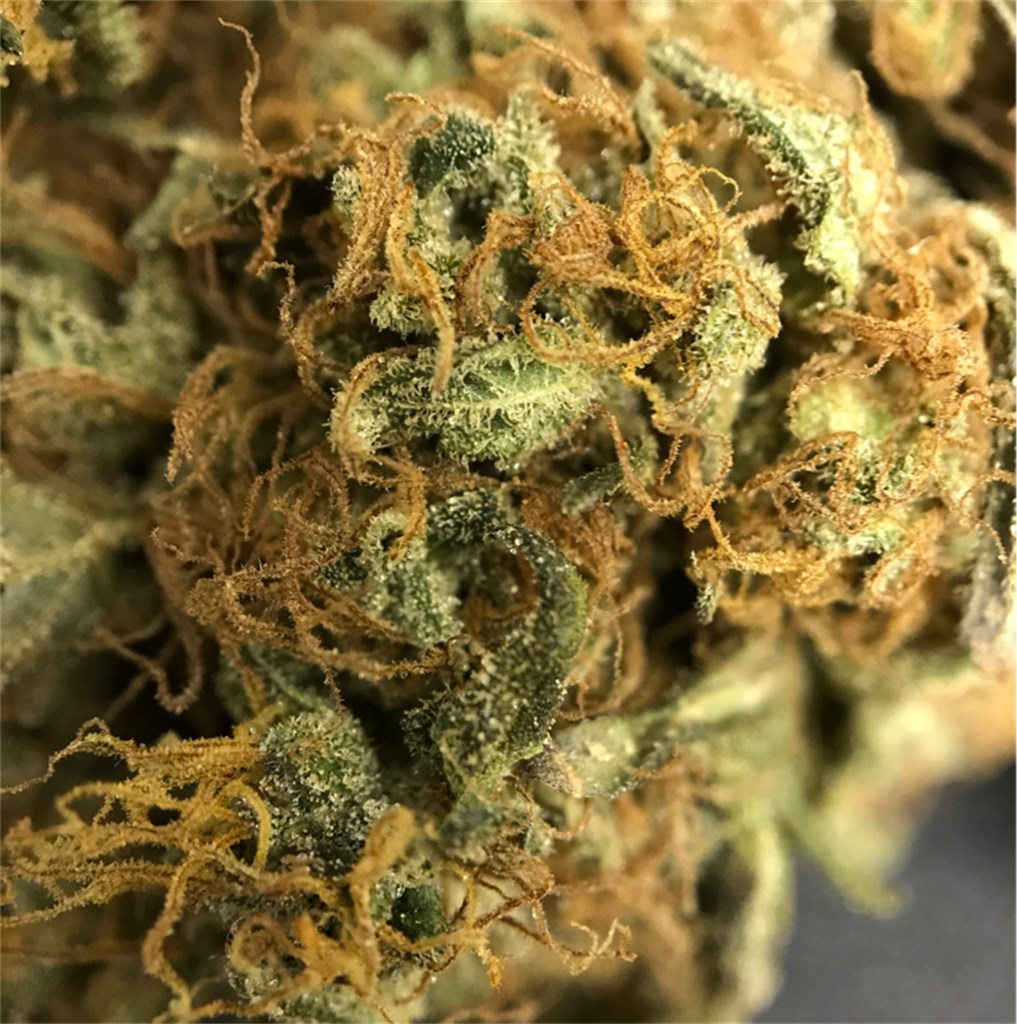 The Incredible Bulk Weed Strain Information