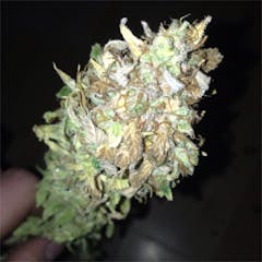 User uploaded image of Industrial Plant