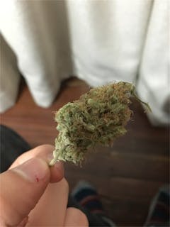 User uploaded image of Industrial Plant