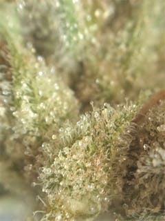 User uploaded image of Industrial Plant