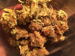 User uploaded image of Industrial Plant