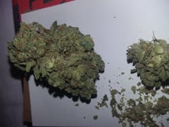 User uploaded image of Ingrid