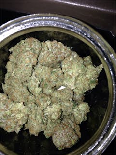 User uploaded image of Ingrid