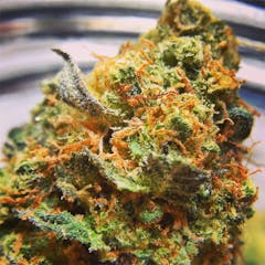 User uploaded image of Ingrid