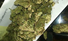 User uploaded image of Irene OG