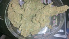 User uploaded image of Irene OG