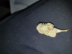User uploaded image of Irene OG