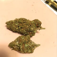 User uploaded image of Island Haze