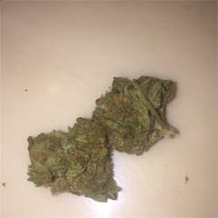 User uploaded image of Island Sweet Skunk