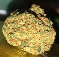 User uploaded image of Island Sweet Skunk