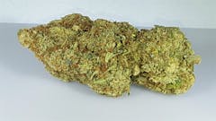 User uploaded image of Island Sweet Skunk