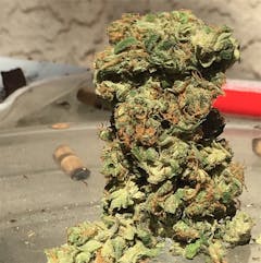 User uploaded image of Island Sweet Skunk