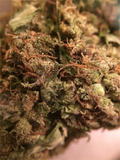 User uploaded image of J's Famous Kush