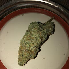 User uploaded image of J1