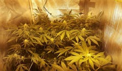 User uploaded image of Jack 47