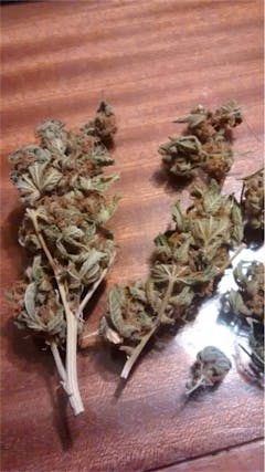 User uploaded image of Jack Diesel