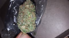 User uploaded image of Jack Diesel