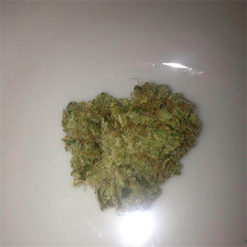 Jack Diesel Weed Strain Information Leafly