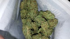 User uploaded image of Jack Flash